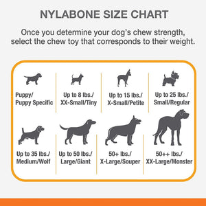 Large - 6 count Nylabone Strong MAX Stuffable Chew Cone Toy Beef Flavor