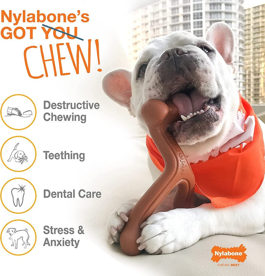 Nylabone Power Chew Durable Dog Chew Toys Twin Pack Chicken and Jerky Flavor - PetMountain.com