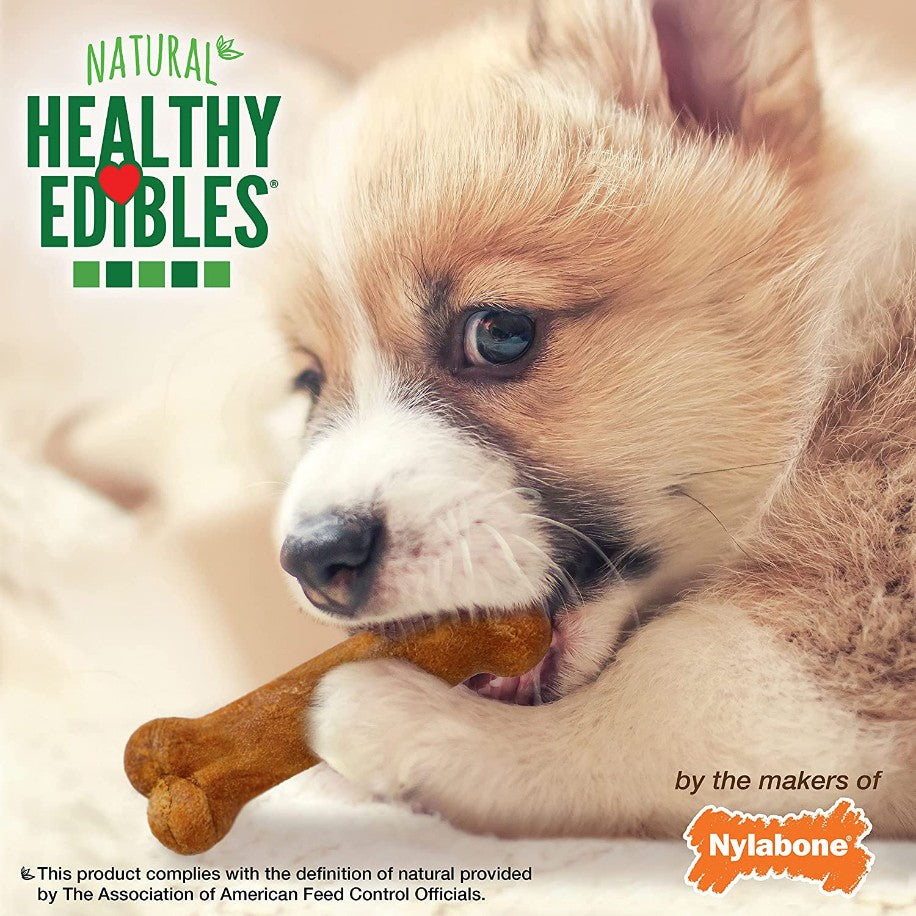 16 count Nylabone Healthy Edibles Chews Turkey and Sweet Potato Flavor Petite