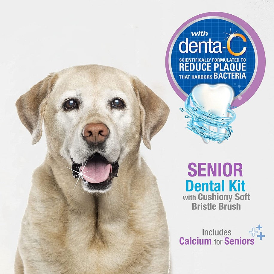 1 count Nylabone Advanced Oral Care Senior Dog Dental Kit with Cushiony Soft-Bristle Toothbrush