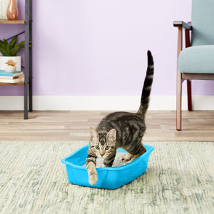 Van Ness Cat Litter Pan with Dip in Front Assorted Colors - PetMountain.com