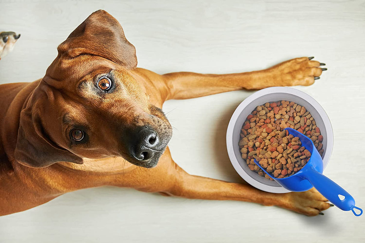 Large - 1 count Van Ness Pet Food Scoop with Ergonomic Grip