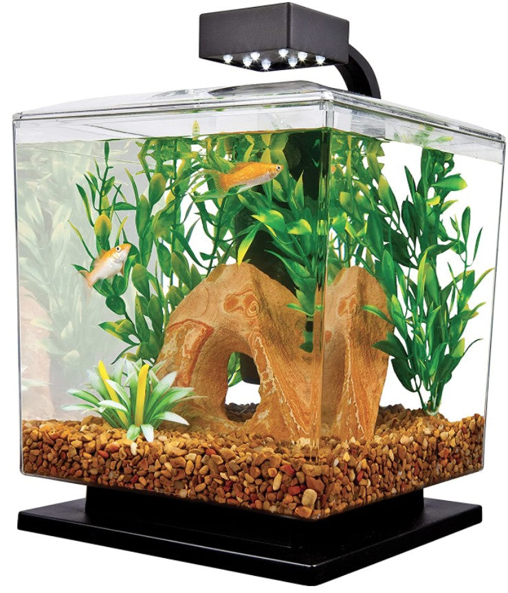 Tetra LED Aquarium Kit Black 1.5 Gallon Cube - PetMountain.com