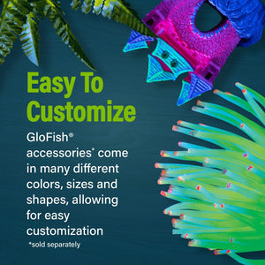 GloFish Trilogy Beta Aquarium Kit with Hood and LED Light - PetMountain.com
