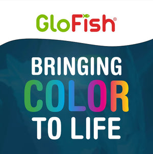 GloFish Trilogy Beta Aquarium Kit with Hood and LED Light - PetMountain.com