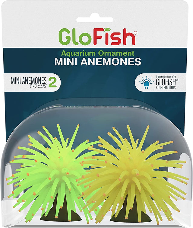 GloFish Anemone Aquarium Ornament Mini Multi-Pack - PetMountain.com