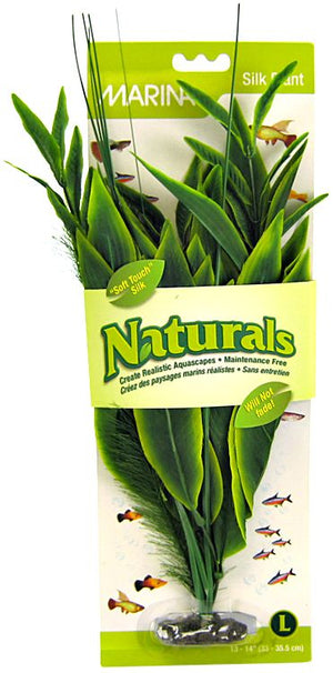 Marina Naturals Dracena Silk Plant - PetMountain.com