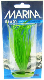 Marina Hairgrass Aquarium Plants - PetMountain.com