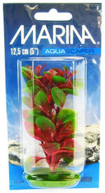 Marina Aquascaper Red Ludwigia Plant - PetMountain.com