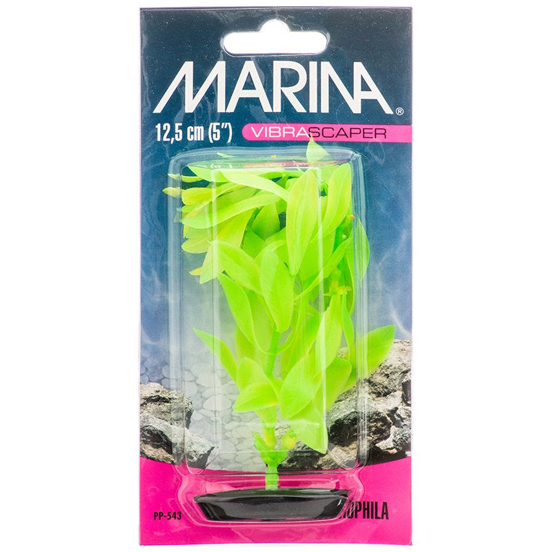 Marina Vibrascaper Hygrophilia Plant Green DayGlo - PetMountain.com