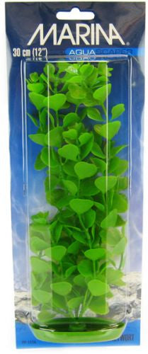 Marina Aquascaper Moneywort Plant - PetMountain.com