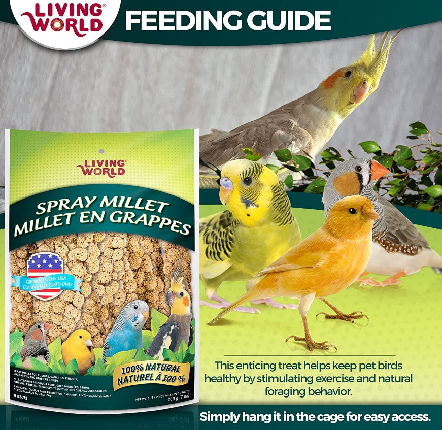 Living World Spray Millet for Birds - PetMountain.com