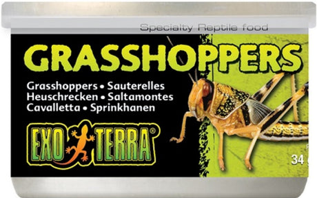 1.2 oz Exo Terra Grasshoppers Reptile Food
