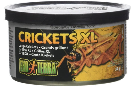 14.4 oz (12 x 1.2 oz) Exo Terra Canned Crickets XL Specialty Reptile Food