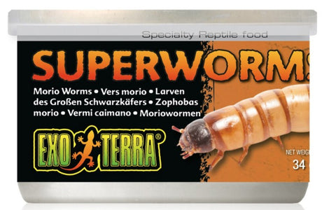 14.4 oz (12 x 1.2 oz) Exo Terra Canned Superworms Specialty Reptile Food