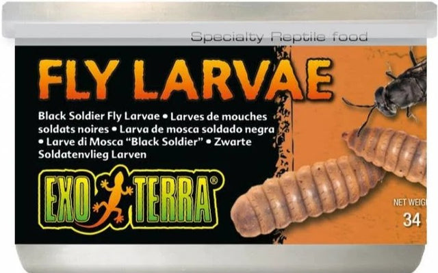 Exo Terra Canned Black Soldier Fly Larvae Specialty Reptile Food - PetMountain.com