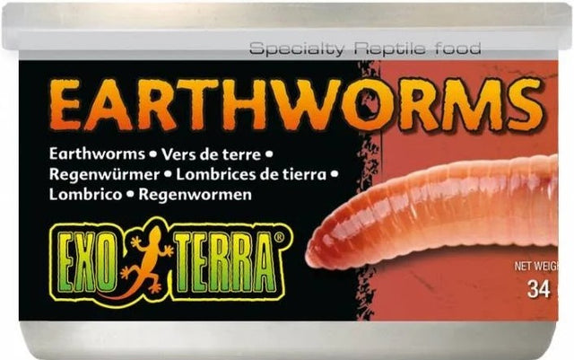 Exo Terra Canned Earthworms Specialty Reptile Food - PetMountain.com