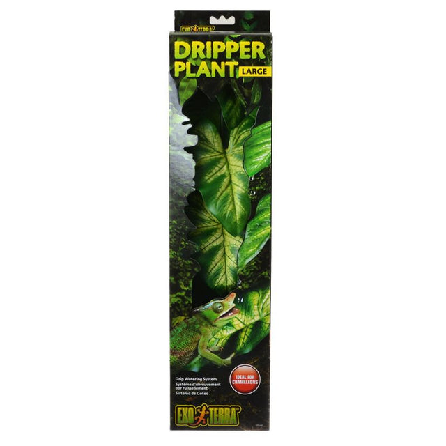 Exo Terra Dripper Plant Large - PetMountain.com