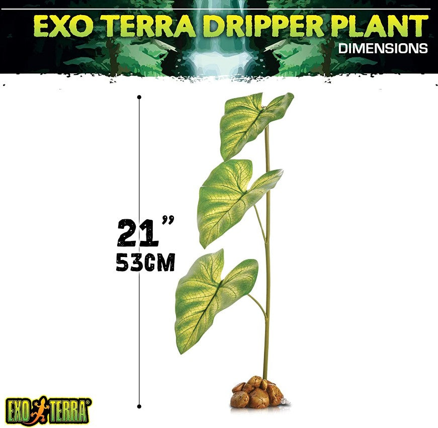Exo Terra Dripper Plant Large - PetMountain.com