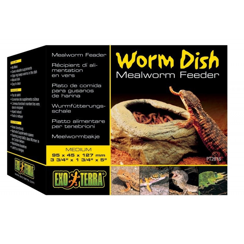 Exo Terra Mealworm Feeder Dish Medium - PetMountain.com