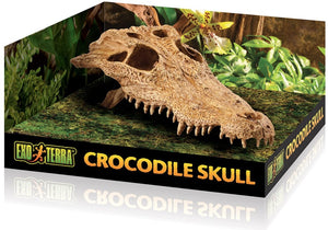 Exo Terra Terrarium Crocodile Skull Decoration - PetMountain.com
