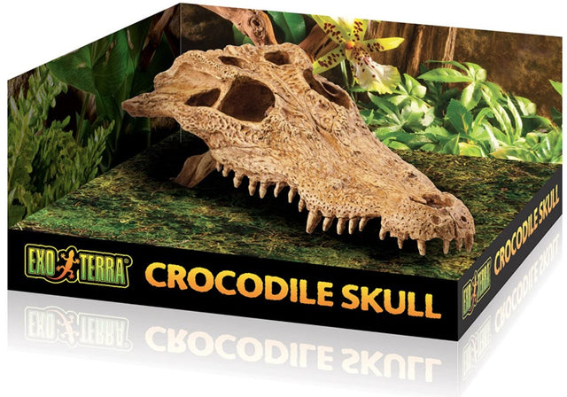 Exo Terra Terrarium Crocodile Skull Decoration - PetMountain.com