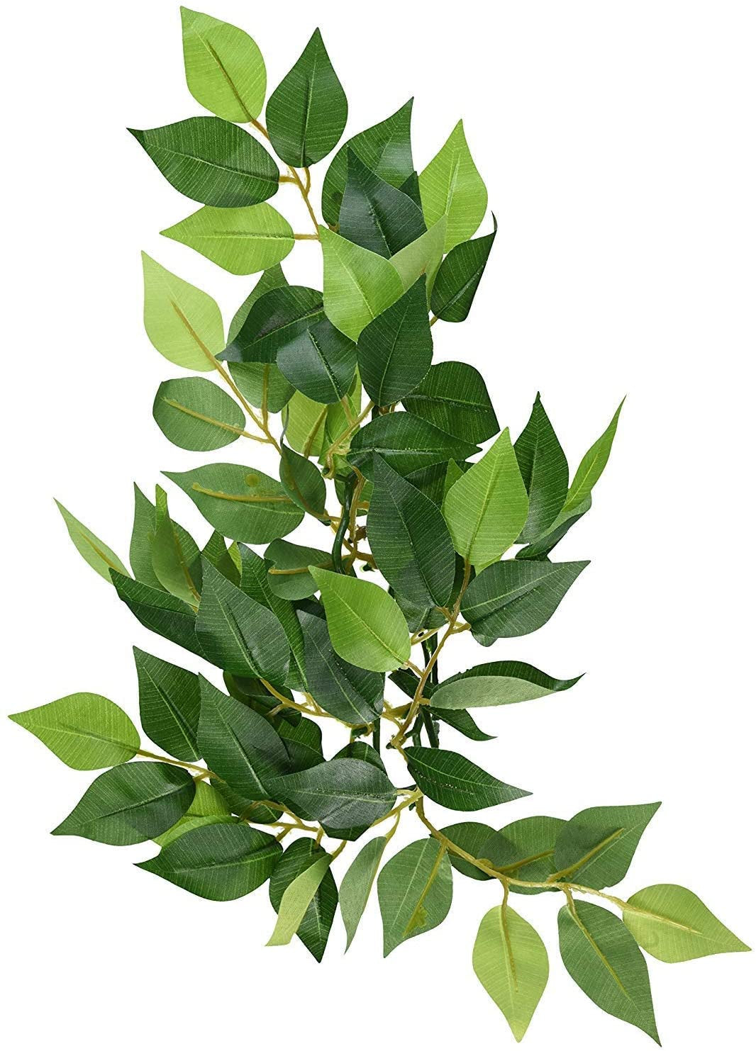 Exo Terra Silk Ficus Forest Plant - PetMountain.com