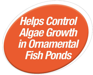 Tetra Pond Block Controls Algae - PetMountain.com