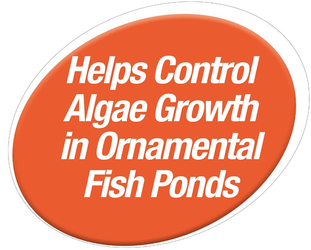100 count (2 x 50 ct) Tetra Pond Block Controls Algae