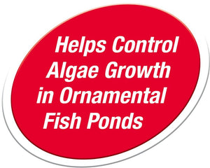 4 count Tetra Pond Block Controls Algae
