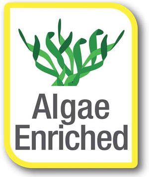 Tetra Pleco Wafers Complete Algae Eater Diet - PetMountain.com