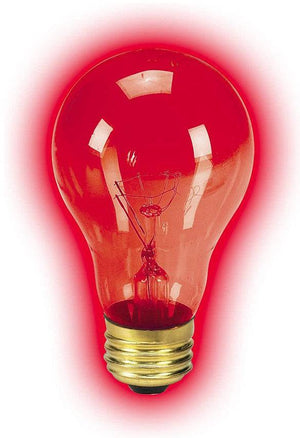 Zilla Night Red Heat Incandescent Bulb - PetMountain.com