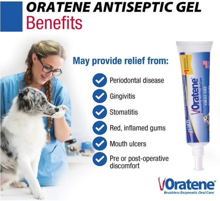 6 oz (6 x 1 oz) Zymox Oratene Brushless Oral Care Antiseptic Gel for Dogs and Cats