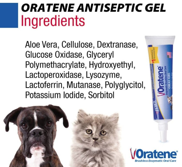 6 oz (6 x 1 oz) Zymox Oratene Brushless Oral Care Antiseptic Gel for Dogs and Cats